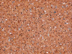 Honed Calpe Orange Terrazzo Stone. Code: MC32081