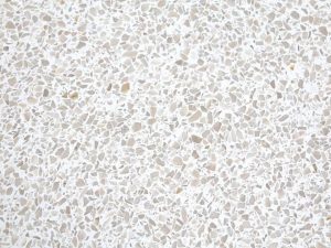 Honed Flossmore Pearl Terrazzo Stone. Code: MC37194